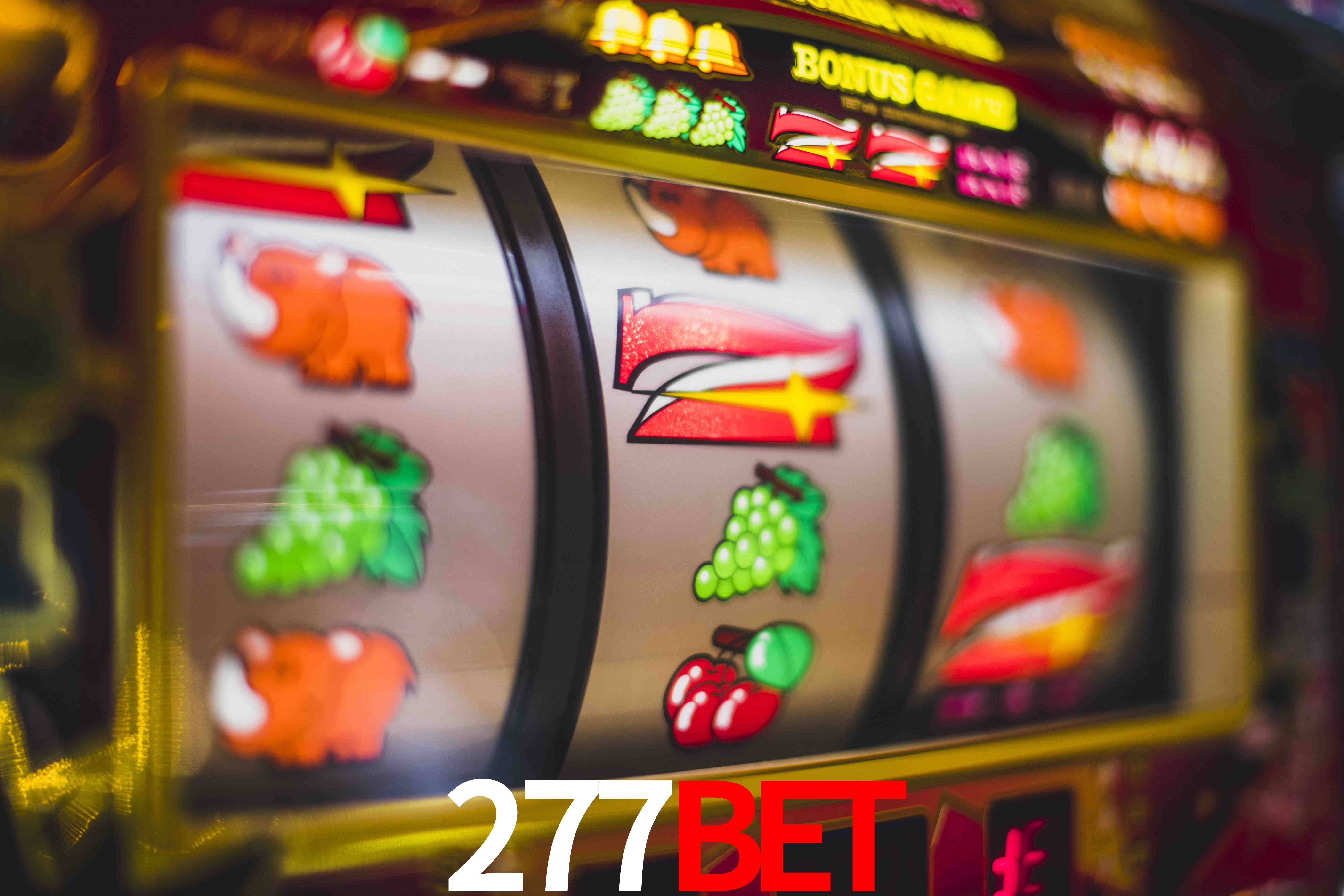 Sports Statistics 277bet